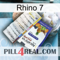 Rhino 7 11